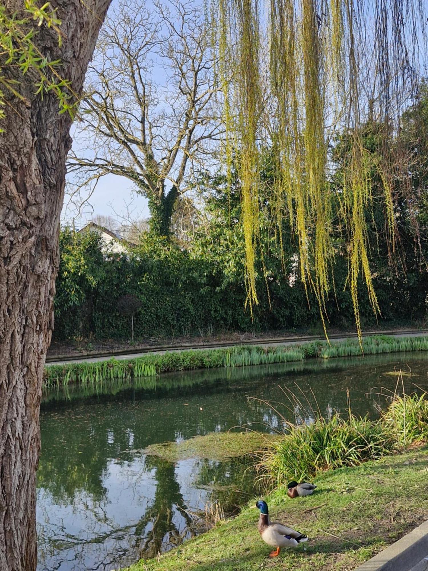 50m2 A 10 Mn Cdg, Proche Parc Expo, Paris, Apartment Le Thillay